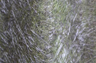 South Stainley fibreglass roof work